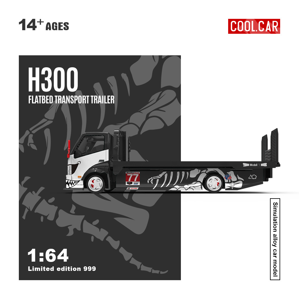 Cool Car 1:64 H300 Flatbed Tra - Die Cast Car 1 64 review and price