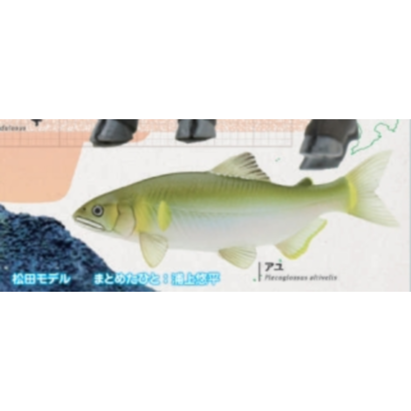 Japan Ikimon Gashapon Capsule  - Capsule Toy Gashapon review and price